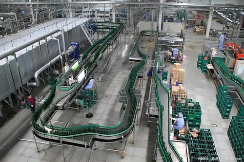 啤酒廠粉塵治理 真空負(fù)壓除塵設(shè)備