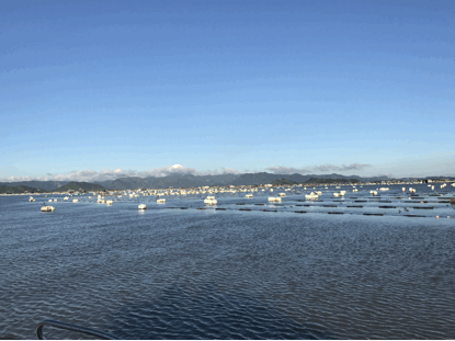 藍色牧場財富多——生態(tài)中國沿海行之福建霞浦海水養(yǎng)殖技術創(chuàng)新