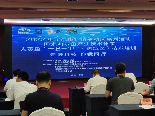 寧德聚力大黃魚“一縣一業” 技術培訓與研發雙輪驅動，引領海水養殖新篇章