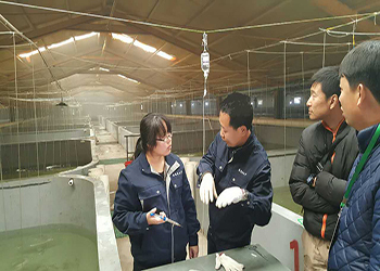 我國海水養殖技術新突破 告別'嗑藥'魚，首個海水魚活疫苗投產應用